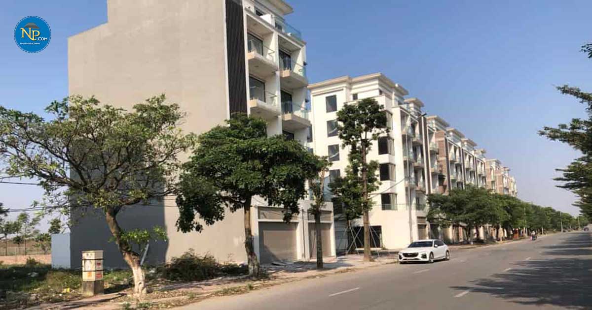 LO28-vuon-sen-dong-ky_1